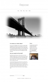 theme_repose_screenshot_0_13505142201.png